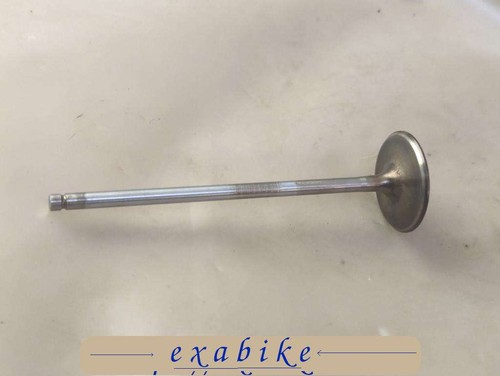 Intake valve for - for, r1150gs